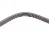 Ремень генератора Opel Omega B 2.5DTI 01-03/Land Rover Range Rover 3.0D 02-12 CONTINENTAL 5PK2020 (фото 4)
