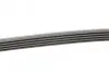 Ремень генератора BMW 3 (E46)/5 (E39)/7 (E38)/X5 (E53) 3.0D 98-05 CONTINENTAL 5PK2060 (фото 2)