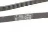Ремень генератора BMW 3 (E46)/5 (E39)/7 (E38)/X5 (E53) 3.0D 98-05 CONTINENTAL 5PK2060 (фото 3)