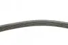 Ремінь генератора Mazda 5 1.8/2.0 05-/Mazda 3 2.0/MZR 03-14 (+AC) CONTINENTAL 5PK716 ELAST (фото 2)