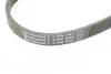 Ремень генератора BMW 3 (E46)/5 (E39)/7 (E38) 95-05 CONTINENTAL 5PK865 (фото 4)