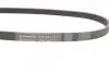 Ремінь генератора Ford Fiesta 1.8 DI 95-02/Toyota Rav4 2.0D 4WD 01-05 CONTINENTAL 5PK884 (фото 2)