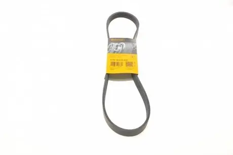 Ремень генератора Ford Fiesta/Focus CONTINENTAL 6PK1019 ELAST