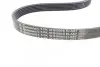 Ремкомплект приводного ремня CONTINENTAL 6PK1019 ELAST T1 (фото 5)