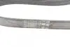Ремкомплект приводного ремня CONTINENTAL 6PK1019 ELAST T1 (фото 10)