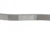 Ремень поликлиновой CONTINENTAL 6PK1042 ELAST (фото 3)