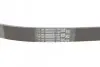 Ремень генератора VW Golf III/Passat/Caddy 1.9/2.0TDI/SDI 03-10/Skoda Octavia/Superb 1.9/2.0TD 04-15 CONTINENTAL 6PK1050 (фото 3)
