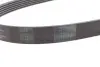 Ремінь генератора Audi/Skoda Octavia/VW Golf/Passat B6 2.0TFSI/RS/GTi/FSI 04-13/Fiat Doblo 1.9D 01- CONTINENTAL 6PK1054 (фото 2)