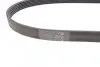 Ремень генератора Ford Focus 1.6 04-/Volvo C30/S40/V50 05-12 CONTINENTAL 6PK1059 ELAST (фото 2)
