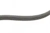 Ремень генератора Ford Focus 1.4/1.6i 03-/Volvo C30/S40/V50 1.6 05-12 (6PK1059 ELAST+5PK868 ELAST) CONTINENTAL 6PK1059 ELAST T2 (фото 2)