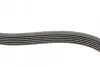 Ремень генератора Ford Focus 1.4/1.6i 03-/Volvo C30/S40/V50 1.6 05-12 (6PK1059 ELAST+5PK868 ELAST) CONTINENTAL 6PK1059 ELAST T2 (фото 6)