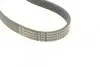 Ремень генератора Ford Focus 1.4/1.6i 03-/Volvo C30/S40/V50 1.6 05-12 (6PK1059 ELAST+5PK868 ELAST) CONTINENTAL 6PK1059 ELAST T2 (фото 7)