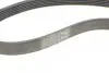Ремень генератора Ford Focus 1.4/1.6i 03-/Volvo C30/S40/V50 1.6 05-12 (6PK1059 ELAST+5PK868 ELAST) CONTINENTAL 6PK1059 ELAST T2 (фото 8)