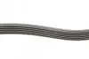 Ремінь генератора T6 2.0TDi/Passat/Golf/Octavia 1.2/1.4TSI/TFSI CONTINENTAL 6PK1090 (фото 2)