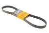 Ремінь генератора Citroen C3/C4/Peugeot 307 1.4-1.6HDi 02- CONTINENTAL 6PK1090 ELAST (фото 1)
