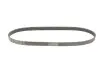 Ремінь генератора Citroen C3/C4/Peugeot 307 1.4-1.6HDi 02- CONTINENTAL 6PK1090 ELAST (фото 2)