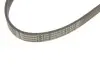 Ремінь генератора Citroen C3/C4/Peugeot 307 1.4-1.6HDi 02- CONTINENTAL 6PK1090 ELAST (фото 4)