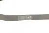Ремінь генератора VW Golf/Caddy 1.4 04-10/Renault Espace 3.5 02-/Audi A4/A6 2.0TFSI 08-15 CONTINENTAL 6PK1100 (фото 2)