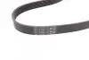 Ремінь генератора Skoda Octavia/VW Golf 1.6-2.0/1.9TDI 97-13/Passat B6/B7 1.8-2.0TSI/T5 1.9TDI 03-15 CONTINENTAL 6PK1120 (фото 3)