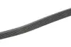 Ремінь поліклиновий CONTINENTAL 6PK1124ELAST (фото 3)