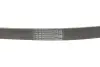 Ремінь поліклиновий CONTINENTAL 6PK1124ELAST (фото 5)