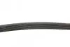 Ремень генератора Renault Megane/Laguna 2.0 97-03/Clio/Grand Scenic/Talisman 1.5dCi 15- CONTINENTAL 6PK1125 (фото 2)