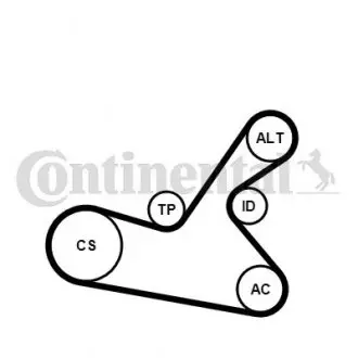 Комплект поликлинового ремня (с роликами) RENAULT LAGUNA I 1.8 11.93-03.01 CONTINENTAL 6PK1125WP1