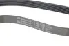 Роликовий модуль натягувача ременя (ролик, ремінь) CONTINENTAL 6PK1130K3 (фото 3)