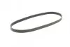 Ремінь генератора VW Caddy/T5 1.9TDI/2.0SDI 04-10/Renault Laguna/Megane/Trafic 1.9dTi/dCi 96-01 CONTINENTAL 6PK1138 (фото 5)