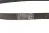 Ремінь генератора Renault Master 2.2/2.5dCi 00-/Peugeot 306/405 1.8/1.9D 93-01/Ford Fiesta 1.8 00-02 CONTINENTAL 6PK1145 (фото 2)