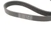 Комплект ремня генератора BMW 5 (G30/F90)/7 (G11/G12) 3.0 d (B57) 15-20 (6PK1153) CONTINENTAL 6PK1153K5 (фото 3)