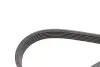 Комплект ремня генератора BMW 5 (G30/F90)/7 (G11/G12) 3.0 d (B57) 15-20 (6PK1153) CONTINENTAL 6PK1153K5 (фото 4)
