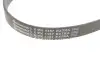 Ремінь генератора BMW 3 (G20/G80/G28)/5 (G30/F90)/X5 (G05/F95) 2.0D B47 16- 6PK1157 EXTRA CONTINENTAL 6PK1157EXTRA (фото 2)