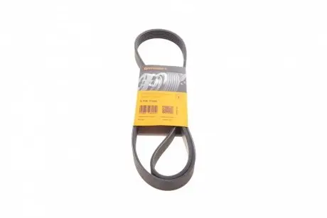 Ремень генератора Citroen Jumper/Peugeot Boxer 3.0HDI CONTINENTAL 6PK1165