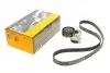 Комплект ремня генератора Renault Clio/Kangoo/Megane/Scenic 1.5dCi 01- (6PK1200) 6PK1200K1
