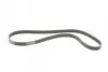 Ремінь генератора Renault Laguna 2.0 95-01/Audi A3 3.2 03-09/Ford Kuga 2.0TDCi 13- CONTINENTAL 6PK1240 (фото 5)