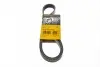 Ремінь генератора Ford Focus 1.8/2.0 04-12 (6PK1249) CONTINENTAL 6PK1249 ELAST (фото 1)