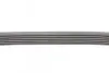 Ремінь генератора Ford Focus 1.8/2.0 04-12 (6PK1249) CONTINENTAL 6PK1249 ELAST (фото 2)