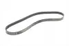 Ремінь генератора Ford Focus 1.8/2.0 04-12 (6PK1249) CONTINENTAL 6PK1249 ELAST (фото 5)