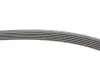 Ремінь генератора Hyundai i30/ Tucson/ ix20 1.4i-1.6 07-/ Kia Cee\'d/Picanto/ Soul 1.0-1.6 06- CONTINENTAL 6PK1256 (фото 2)
