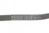 Ремінь генератора Hyundai i30/ Tucson/ ix20 1.4i-1.6 07-/ Kia Cee\'d/Picanto/ Soul 1.0-1.6 06- CONTINENTAL 6PK1256 (фото 4)