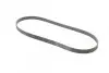 Ремінь генератора Hyundai i30/ Tucson/ ix20 1.4i-1.6 07-/ Kia Cee\'d/Picanto/ Soul 1.0-1.6 06- CONTINENTAL 6PK1256 (фото 5)