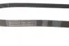 Ремінь генератора Fiat Scudo 1.6D Multijet 07-/Ford Focus 1.8CDTi 04-12/Opel Corsa D/E 1.3CDTi 06- CONTINENTAL 6PK1360 (фото 2)