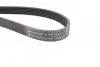 Ремінь генератора Ford Transit Connect 02-13/Focus 99-05/Toyota Avensis 03-12/Corolla 01-07/Renault CONTINENTAL 6PK1420 (фото 2)