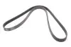 Ремінь генератора Ford Transit Connect 02-13/Focus 99-05/Toyota Avensis 03-12/Corolla 01-07/Renault CONTINENTAL 6PK1420 (фото 5)