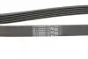 Ремінь генератора Citroen Berlingo/Jumpy/Fiat Scudo/Peugeot Partner 1.9D 98-/Hyundai Accent 02-05 CONTINENTAL 6PK1440 (фото 3)