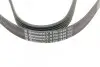 Ремінь генератора Citroen Berlingo/Jumpy/Fiat Scudo/Peugeot Partner 1.9D 98-/Hyundai Accent 02-05 CONTINENTAL 6PK1440 (фото 4)