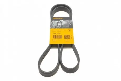 Ремень генератора Citroen Berlingo/Jumpy/Fiat Scudo/Peugeot Partner 1.9D 98-/Hyundai Accent 02-05 CONTINENTAL 6PK1440
