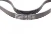 Ремень генератора Peugeot 206/Partner/Citroen Berlingo 1.1-1.6 02-/VW Fox/Polo 1.2 02-14 CONTINENTAL 6PK1453 (фото 3)