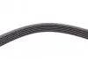 Ремень генератора Peugeot 206/Partner/Citroen Berlingo 1.1-1.6 02-/VW Fox/Polo 1.2 02-14 CONTINENTAL 6PK1453 (фото 4)